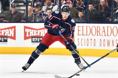 Pierre-Luc Dubois Poster 3558426