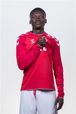 Pione Sisto Poster 3352778