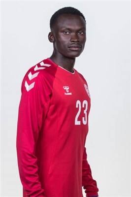 Pione Sisto Poster 3352782