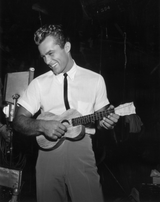 ROBERT CONRAD Poster 2605317