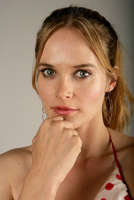 Rachel Blanchard Poster 2089871