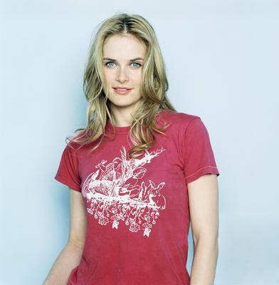 Rachel Blanchard Poster 2089887