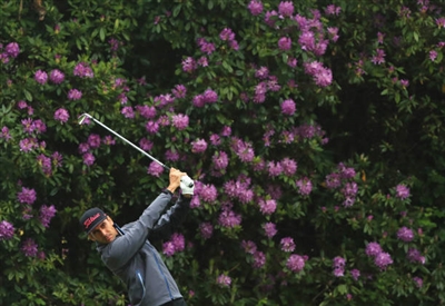 Rafa Cabrera Bello Poster 3490383