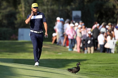 Rafa Cabrera Bello Poster 3490502