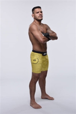 Rafael Dos Anjos Poster 3522906