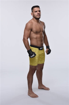 Rafael Dos Anjos Poster 3522918