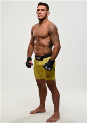 Rafael Dos Anjos Poster 3522943