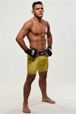 Rafael Dos Anjos Poster 3522964