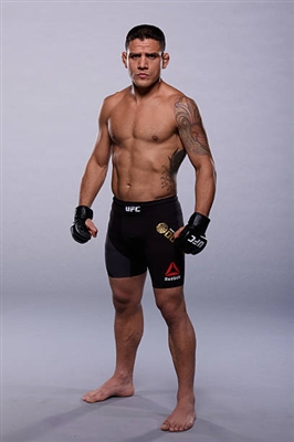 Rafael Dos Anjos Poster 3522965