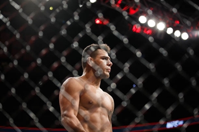 Rafael Dos Anjos Poster 3522977