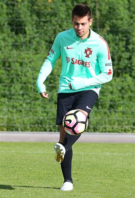 Raphael Guerreiro Poster 3353047