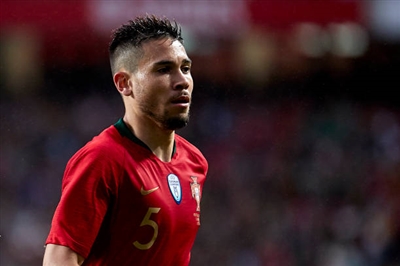 Raphael Guerreiro Poster 3353049