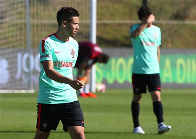 Raphael Guerreiro Poster 3353059