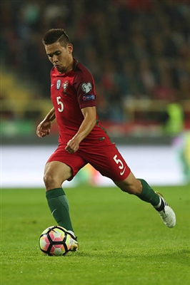 Raphael Guerreiro Poster 3353061