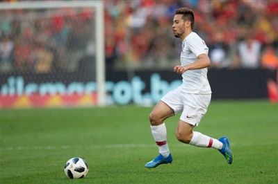 Raphael Guerreiro Poster 3353063