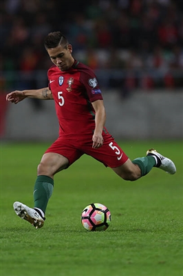 Raphael Guerreiro Poster 3353073