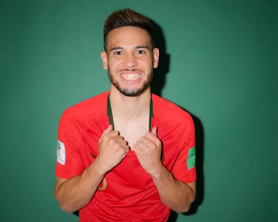 Raphael Guerreiro Poster 3353079