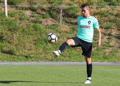 Raphael Guerreiro Poster 3353099