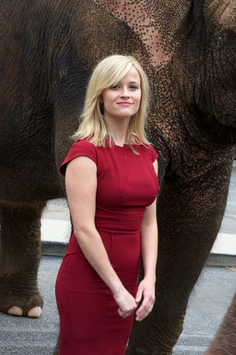 Reese Witherspoon Poster 2244281
