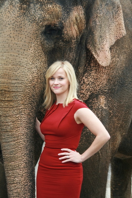 Reese Witherspoon Poster 2244283