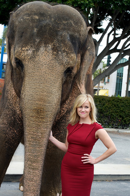 Reese Witherspoon Poster 2244289