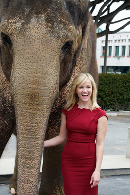 Reese Witherspoon Poster 2244327
