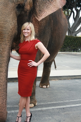 Reese Witherspoon Poster 2244360