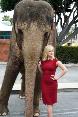 Reese Witherspoon Poster 2244372