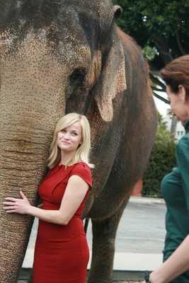 Reese Witherspoon Poster 2244378