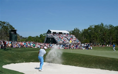 Rickie Fowler Poster 3484093