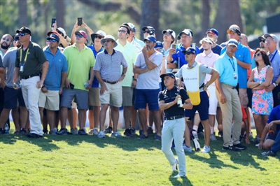 Rickie Fowler Poster 3484257