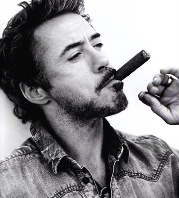 Robert Downey Jr Poster 2000291