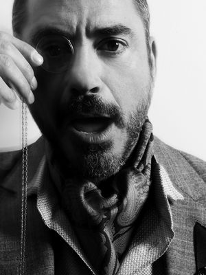 Robert Downey Jr Poster 2190813