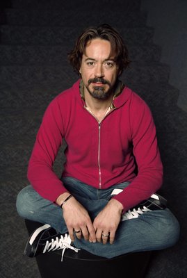Robert Downey Jr Poster 2198254