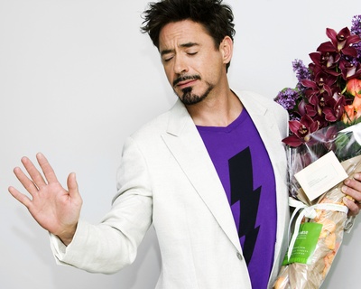 Robert Downey Jr Poster 2291686