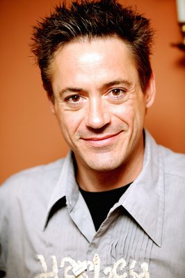 Robert Downey Jr Poster 2291691
