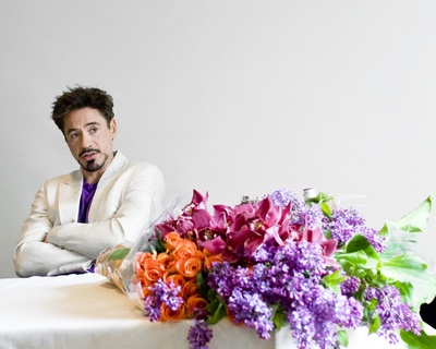 Robert Downey Jr Poster 2291722