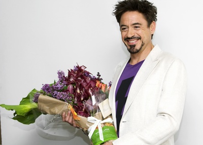 Robert Downey Jr Poster 2291724
