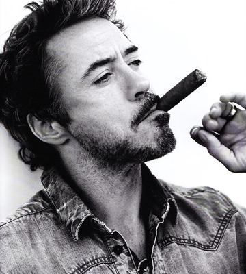 Robert Downey Jr Poster 2418161