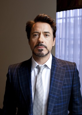 Robert Downey Jr Poster 2427094