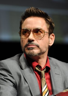 Robert Downey Jr Poster 2461013