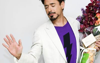 Robert Downey Jr Poster 2461019