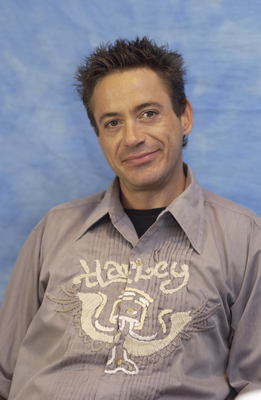 Robert Downey Jr Poster 3289717