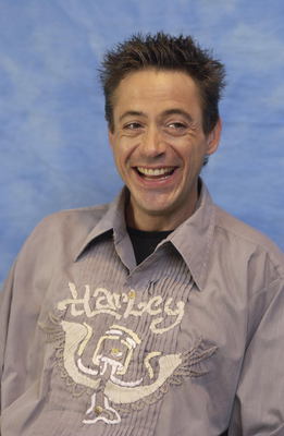 Robert Downey Jr Poster 3289725