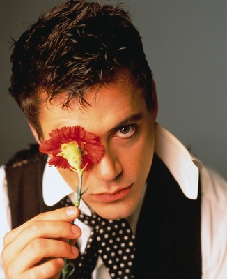 Robert Downey Jr Poster 3828365