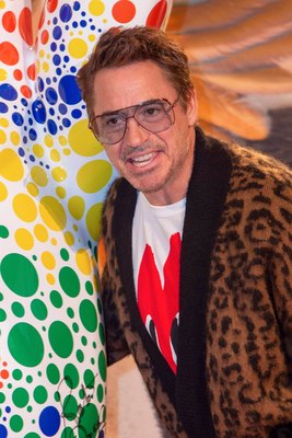 Robert Downey Jr Poster 3949309