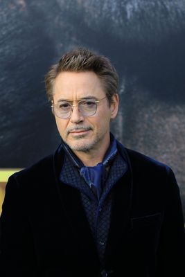 Robert Downey Jr Poster 3949312
