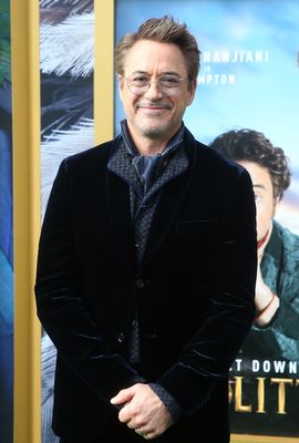 Robert Downey Jr Poster 3949324
