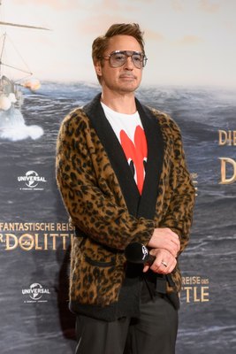 Robert Downey Jr Poster 3949325