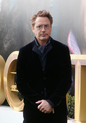 Robert Downey Jr Poster 3949327
